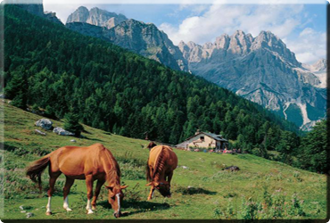 Parco regionale dei Colli Euganei