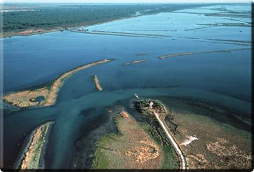 Il Parco del Delta del Po