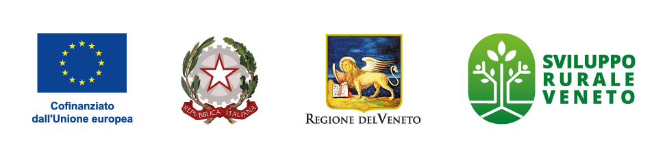Unione Europea - Repubblica Italiana - Regione del Veneto - FEASR - PSR Veneto 2023-2027